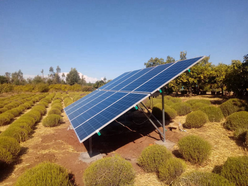 Estructura Fotovoltaica a Piso: Quillón